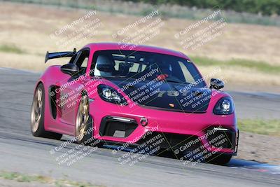 media/May-03-2024-PCA Central Coast (Fri) [[eaa7da0ee1]]/Yellow Group/Session 1 (Grapevine)/